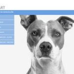 Vet-Art – Állatorvosi rendelő